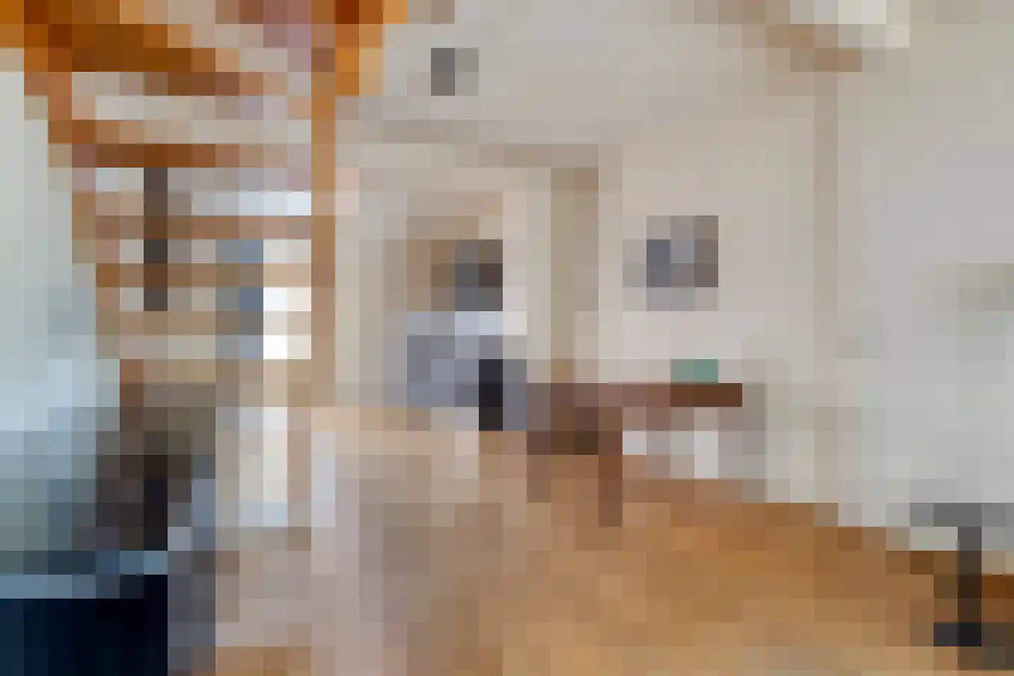 Krepelstraat 27 Zierikzee thumbnail 8