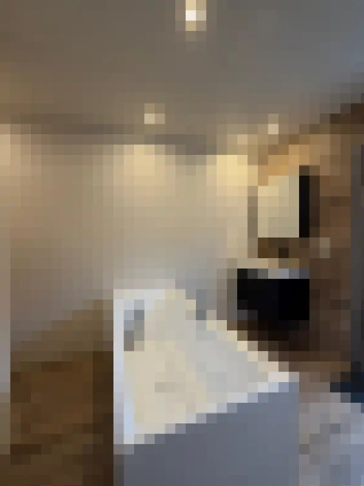 Krepelstraat 3 Sluis thumbnail 13