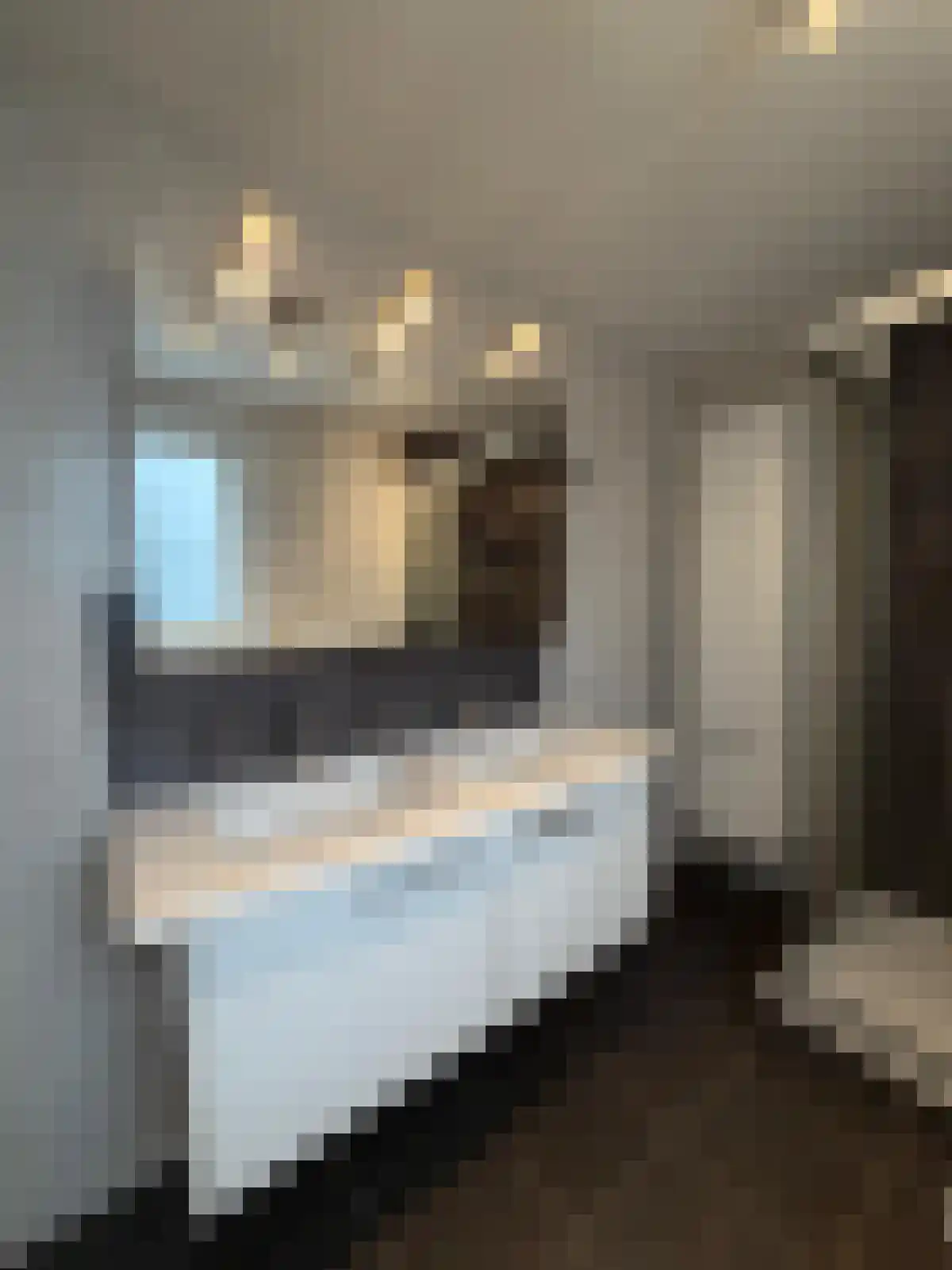 Krepelstraat 3 Sluis thumbnail 20