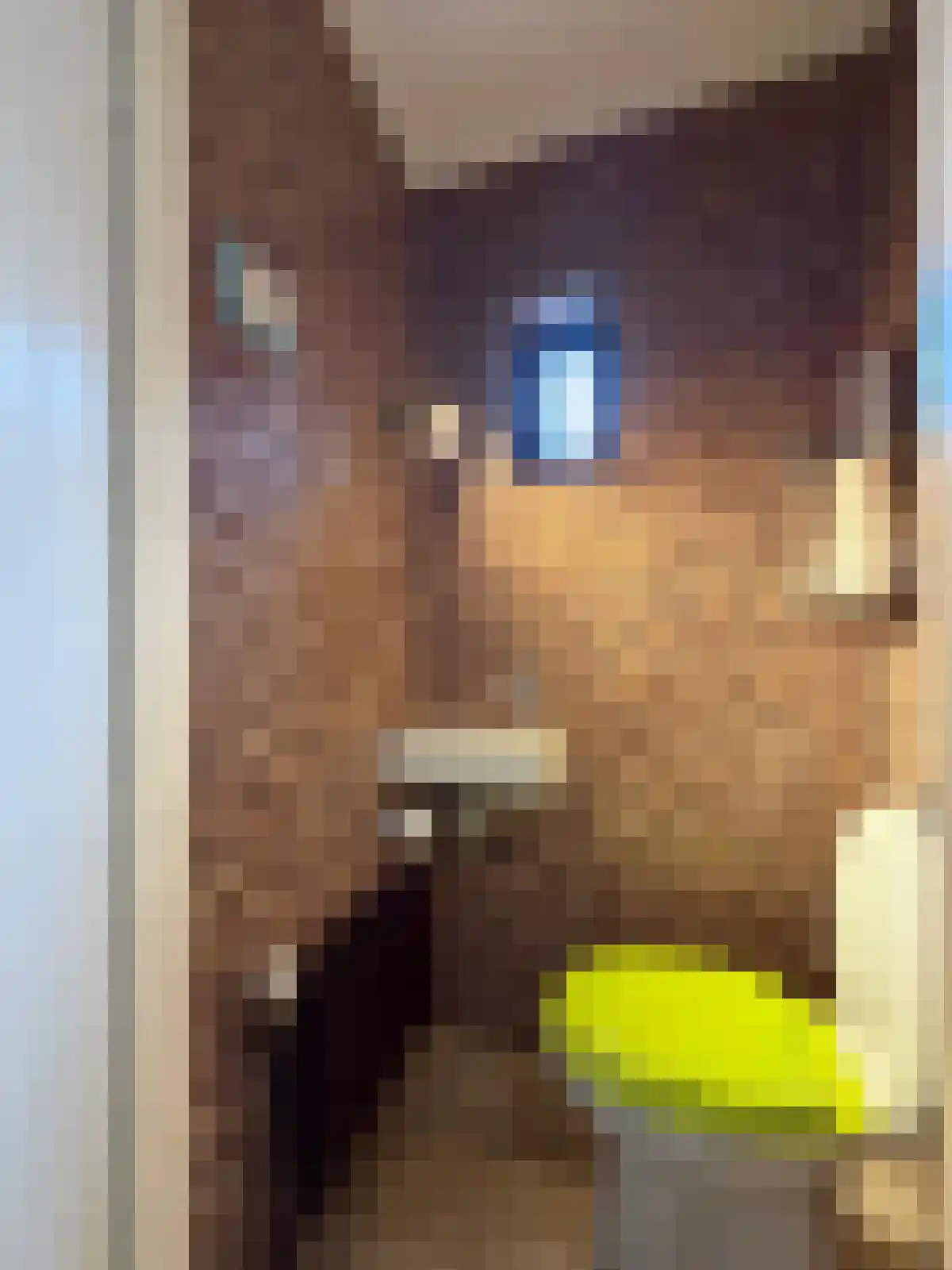 Krepelstraat 3 Sluis thumbnail 4