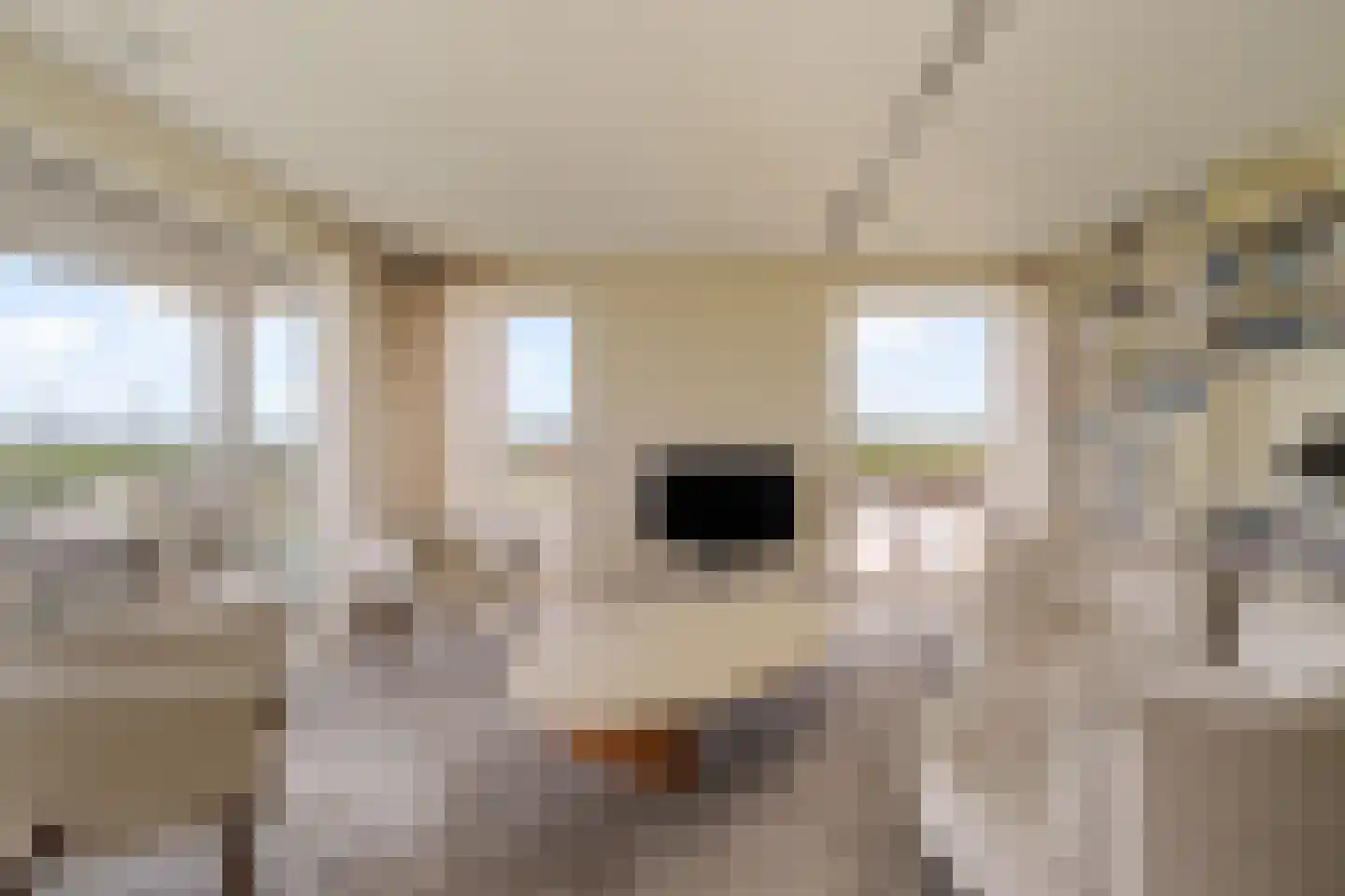 Kretalaan 126 Rotterdam thumbnail 15