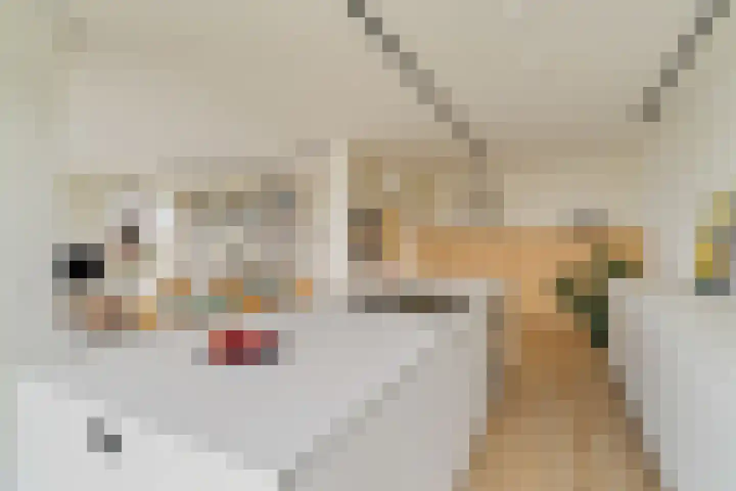 Kretalaan 126 Rotterdam thumbnail 22
