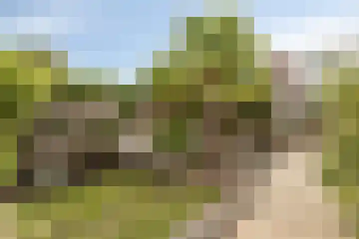 Kretalaan 30 Rotterdam thumbnail 26