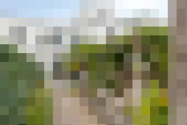 Kretalaan 30 Rotterdam thumbnail 28