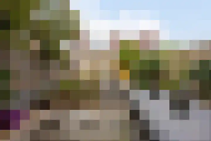 Kretalaan 31 Rotterdam thumbnail 11