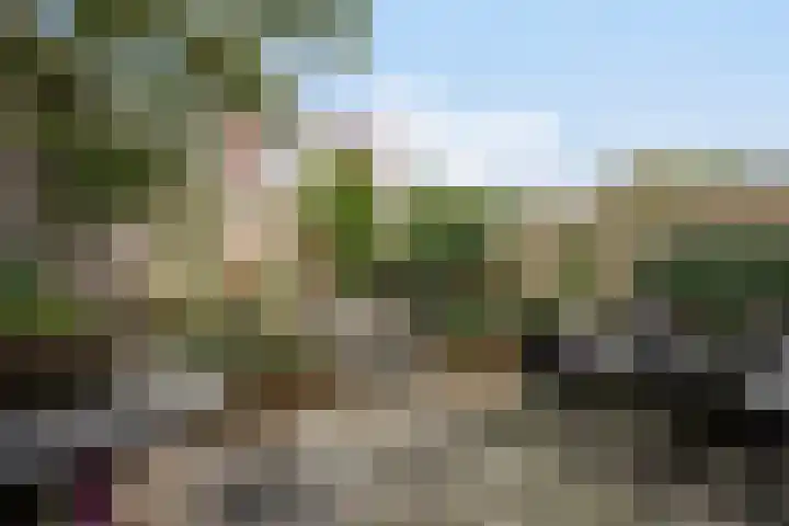 Kretalaan 31 Rotterdam thumbnail 12