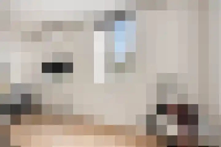 Kretalaan 31 Rotterdam thumbnail 18
