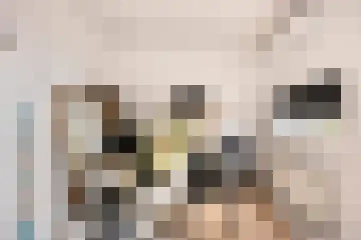 Kretalaan 31 Rotterdam thumbnail 19