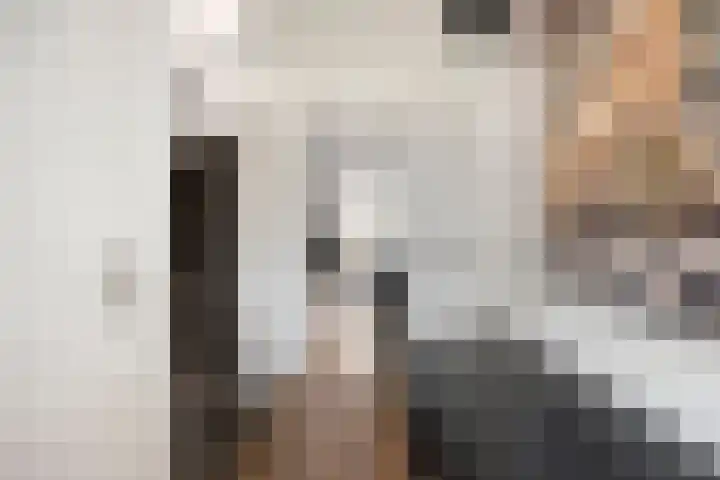 Kretalaan 31 Rotterdam thumbnail 29