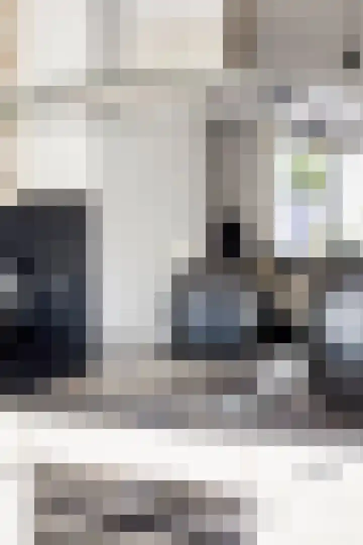 Kretalaan 31 Rotterdam thumbnail 8