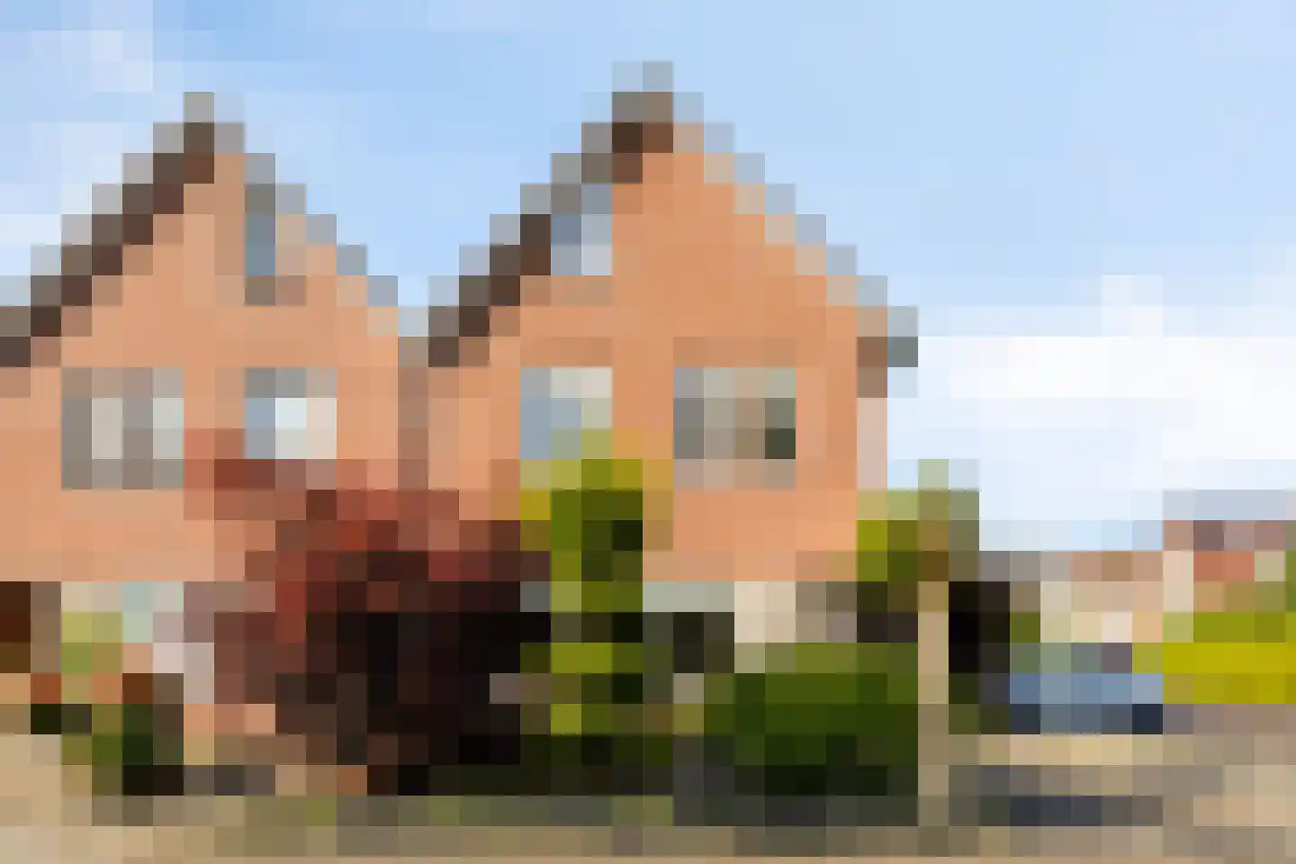Kretalaan 49 Oldenzaal thumbnail 28
