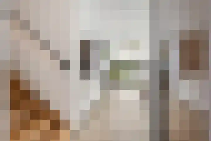 Kretalaan 59 Rotterdam thumbnail 10
