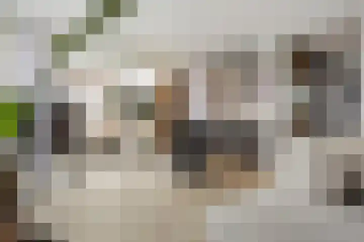 Kretalaan 59 Rotterdam thumbnail 12