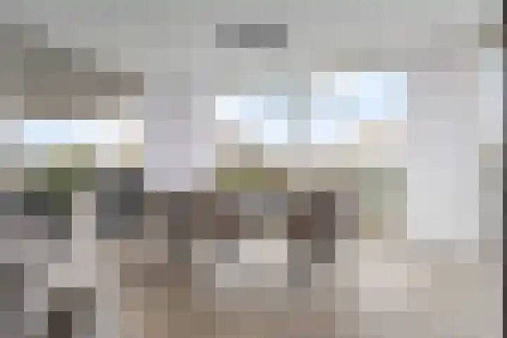 Kretalaan 59 Rotterdam thumbnail 16