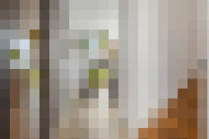 Kretalaan 59 Rotterdam thumbnail 20