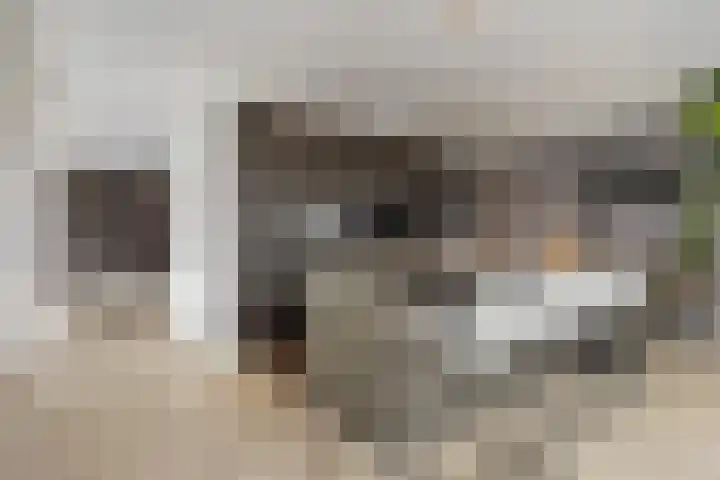 Kretalaan 59 Rotterdam thumbnail 21