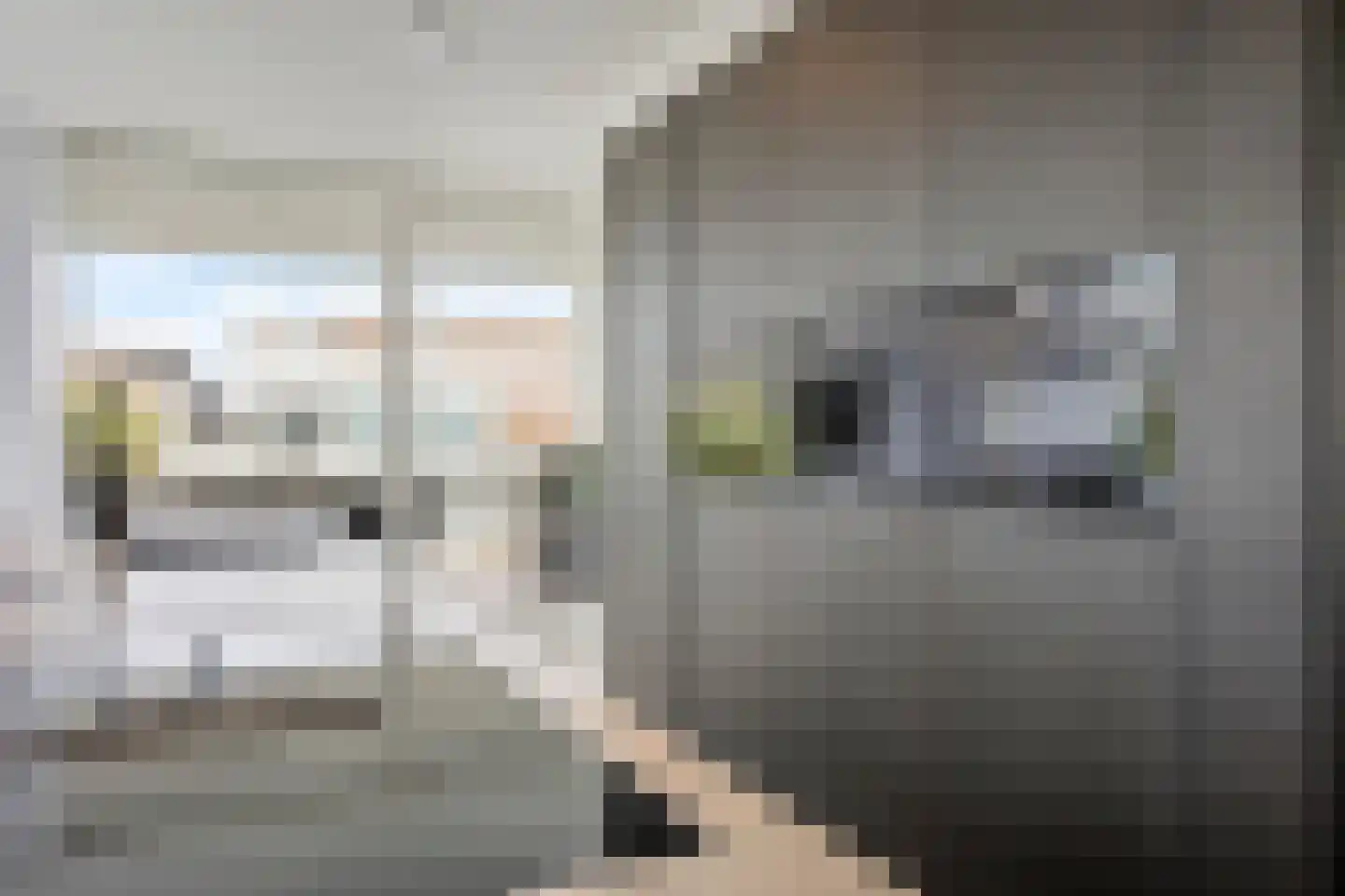 Kretalaan 59 Rotterdam thumbnail 23