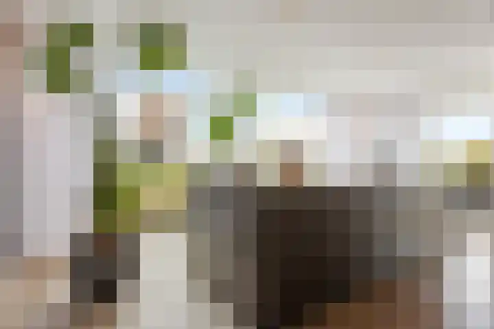 Kretalaan 59 Rotterdam thumbnail 23