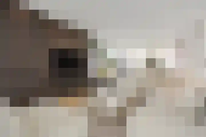 Kretalaan 59 Rotterdam thumbnail 4