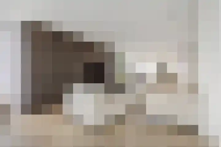 Kretalaan 59 Rotterdam thumbnail 5