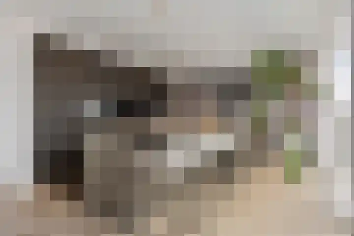 Kretalaan 59 Rotterdam thumbnail 6