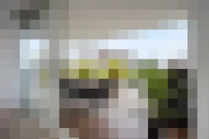 Kretalaan 59 Rotterdam thumbnail 61