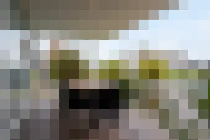 Kretalaan 59 Rotterdam thumbnail 62