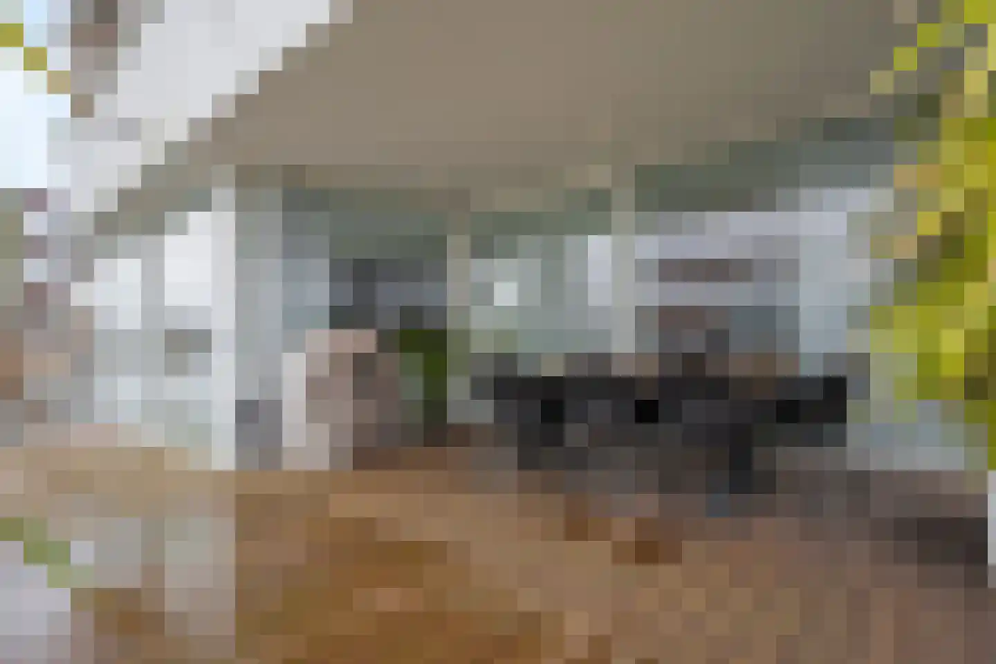 Kretalaan 59 Rotterdam thumbnail 63