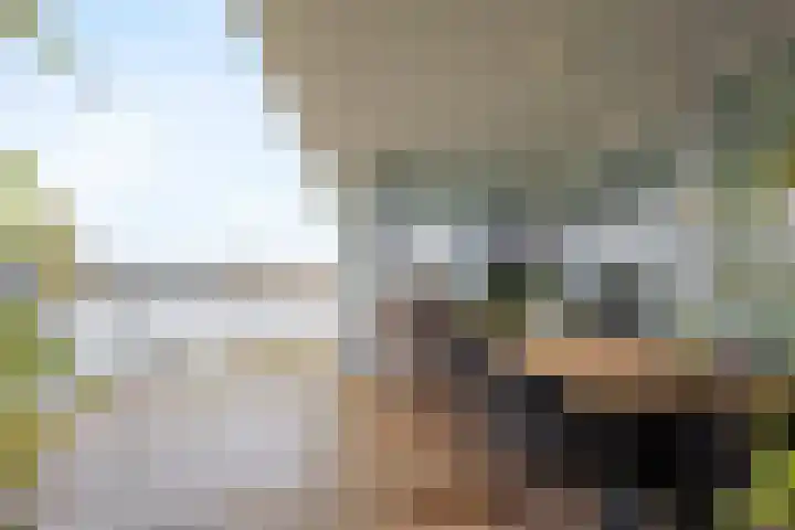 Kretalaan 59 Rotterdam thumbnail 63