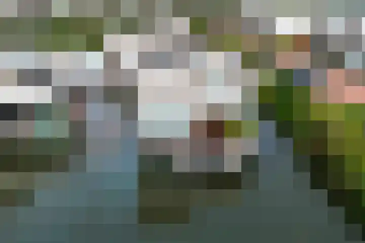 Kretalaan 59 Rotterdam thumbnail 75