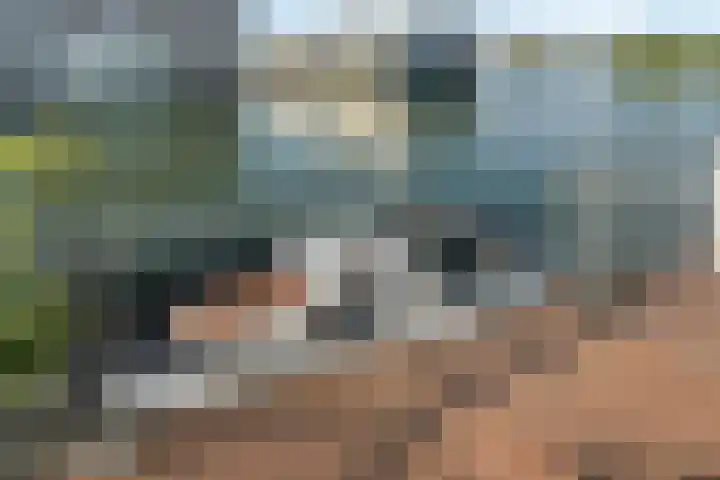 Kretalaan 59 Rotterdam thumbnail 76