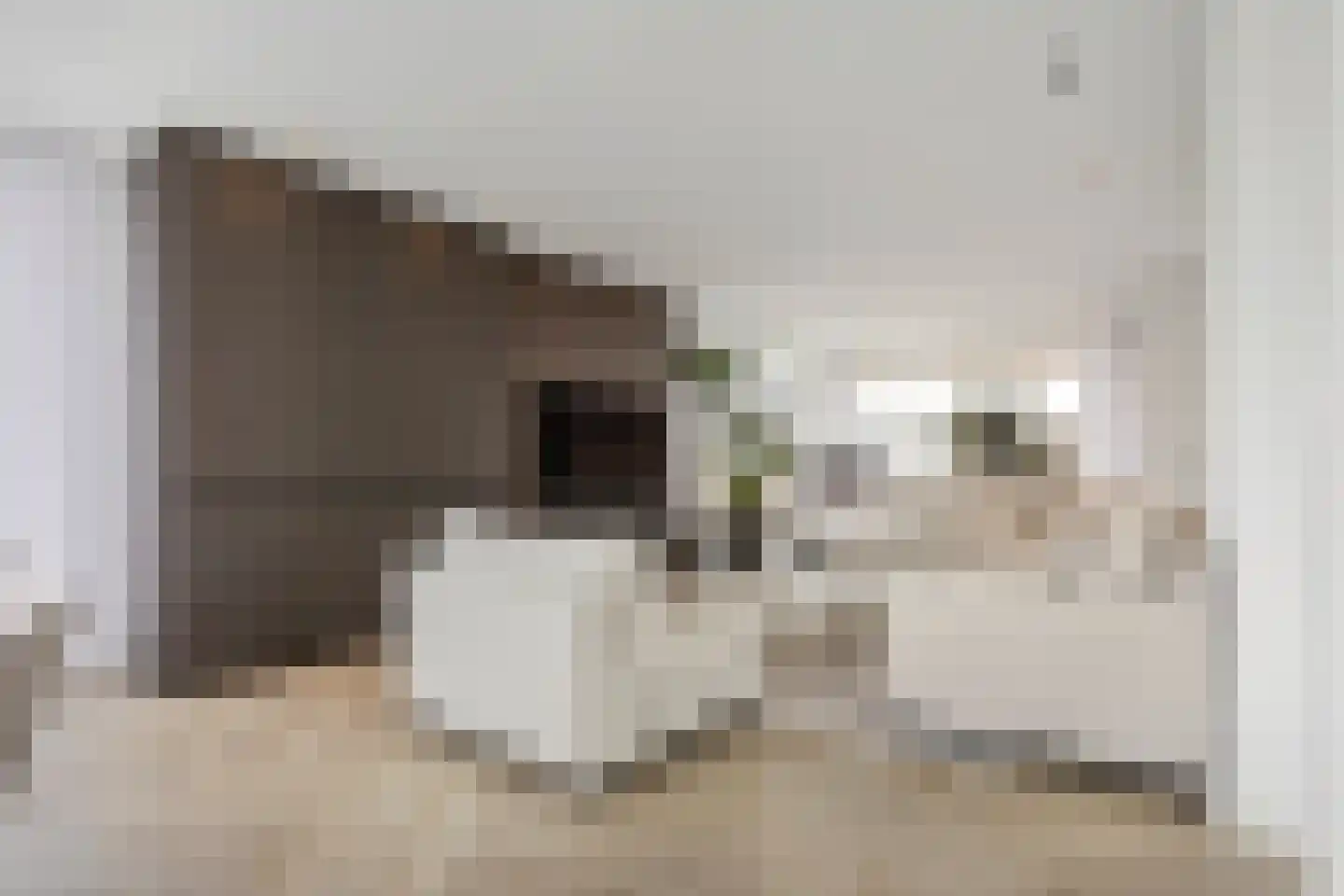 Kretalaan 59 Rotterdam thumbnail 9