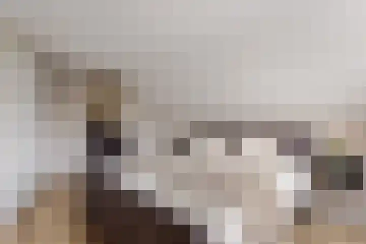 Kretalaan 69 Oldenzaal thumbnail 17