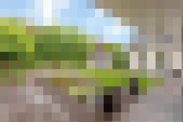 Kretalaan 69 Oldenzaal thumbnail 23