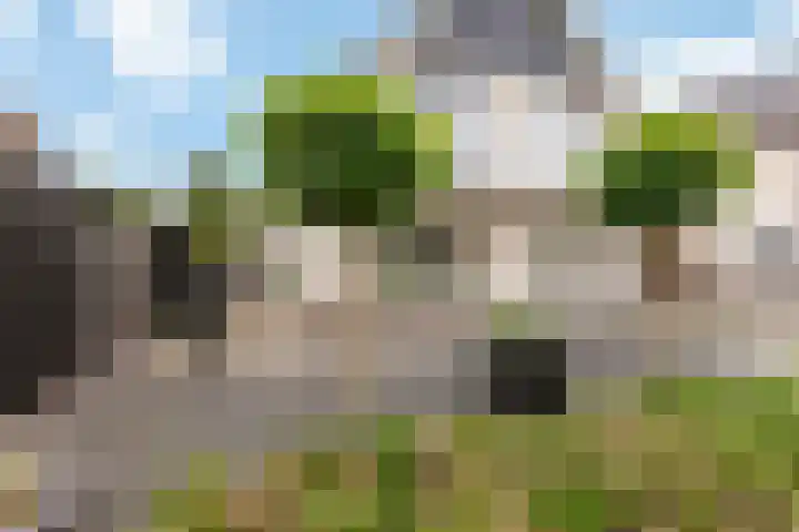 Kretalaan 69 Oldenzaal thumbnail 6