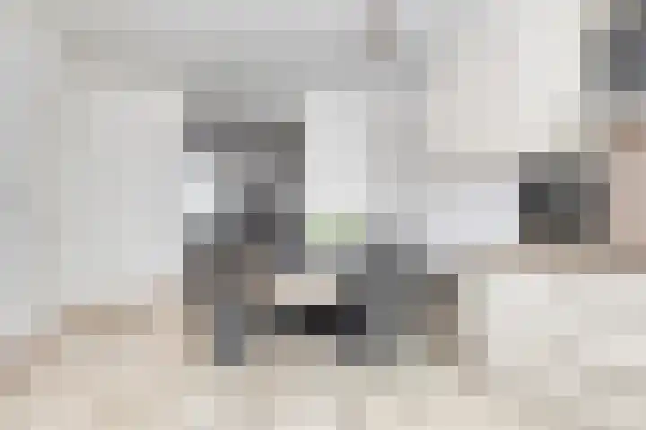 Kretalaan 71 Oldenzaal thumbnail 17