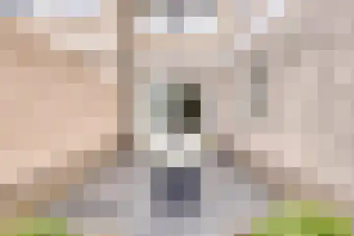 Kretalaan 71 Oldenzaal thumbnail 34