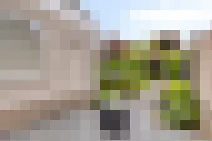 Kretalaan 71 Oldenzaal thumbnail 35
