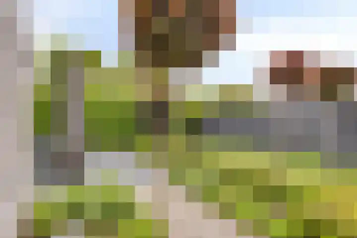 Kretalaan 71 Oldenzaal thumbnail 37