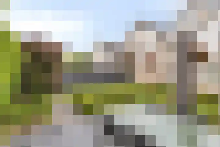 Kretalaan 71 Oldenzaal thumbnail 39