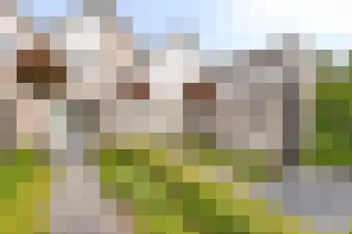 Kretalaan 71 Oldenzaal thumbnail 40