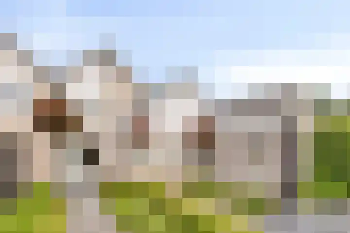 Kretalaan 71 Oldenzaal thumbnail 41