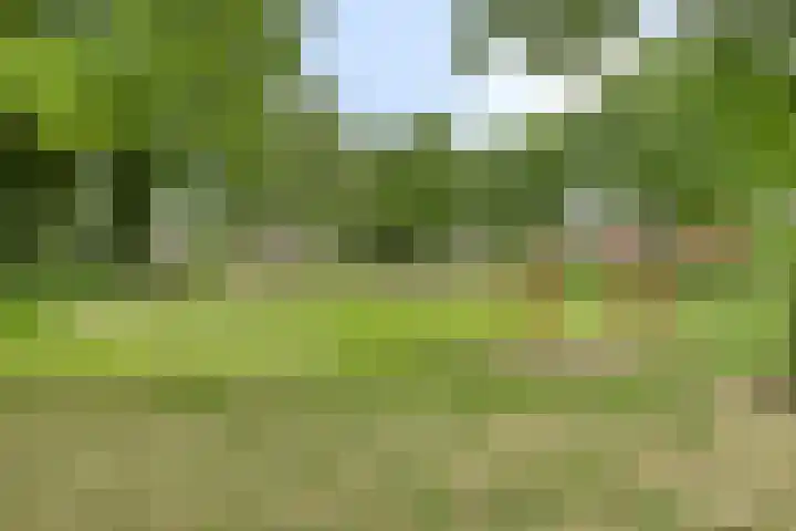 Kretalaan 71 Oldenzaal thumbnail 46