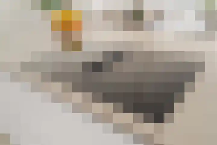 Kretalaan 94 Rotterdam thumbnail 18