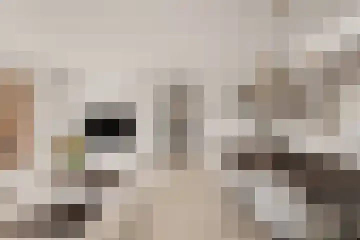 Kretalaan 94 Rotterdam thumbnail 20