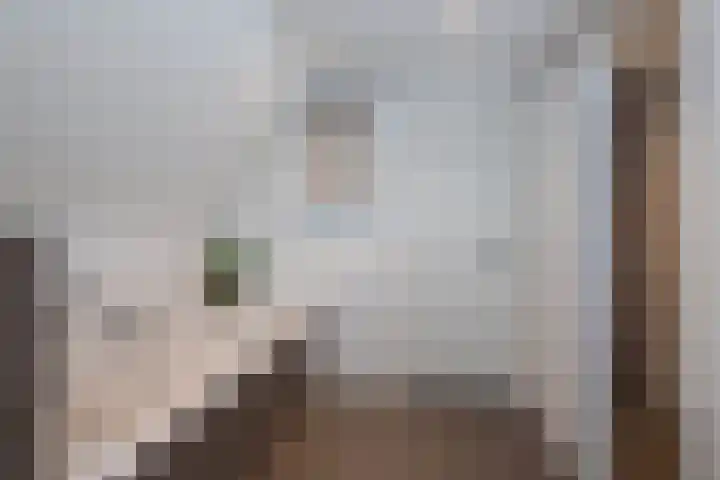 Kretastraat 16 Hengelo thumbnail 21