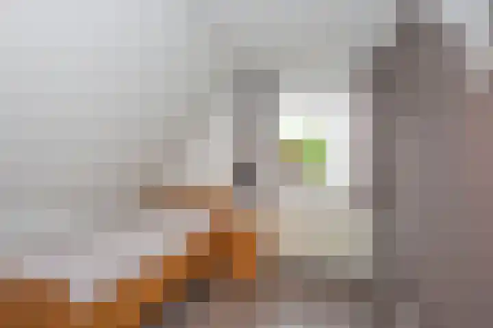 Kretastraat 45 Hengelo thumbnail 26