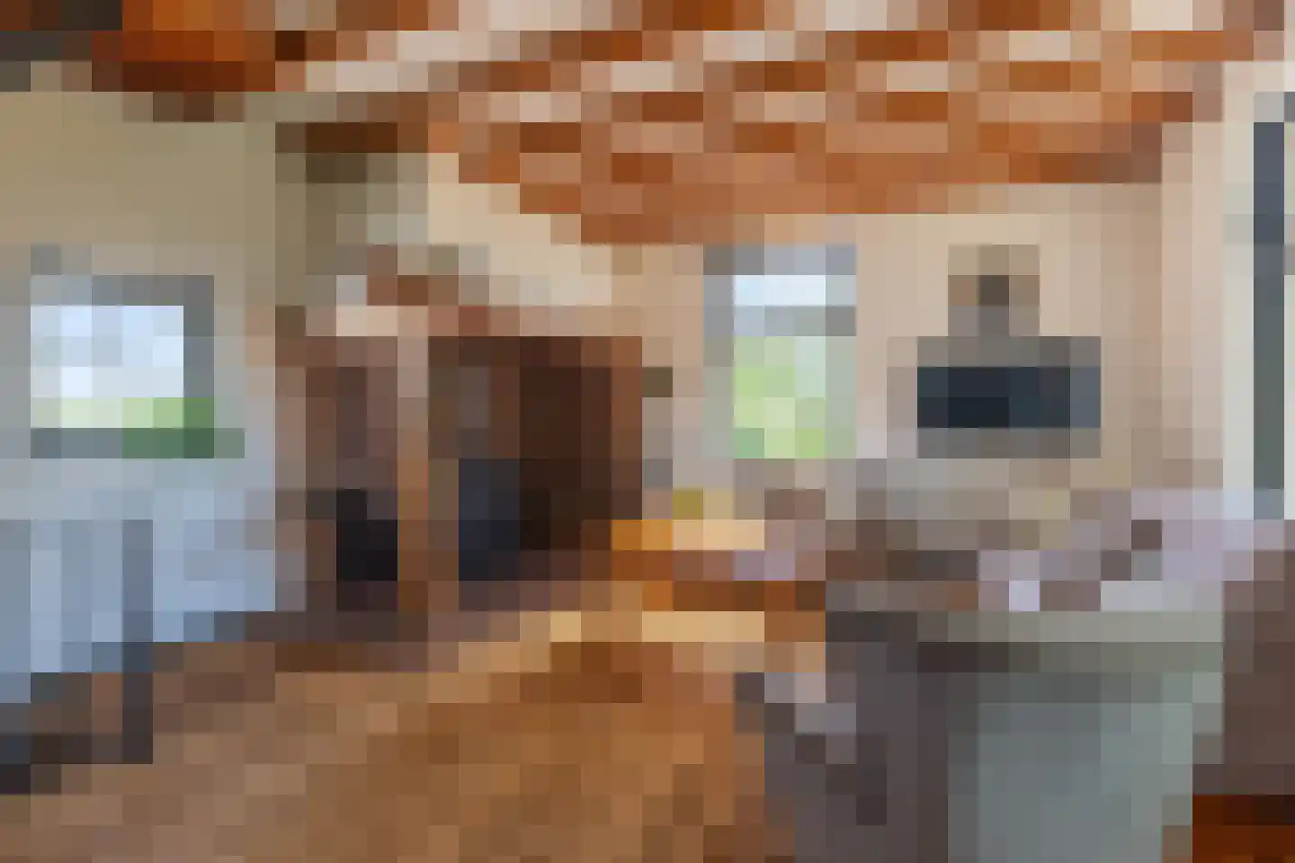 Kreugerlaan 7 Weesp thumbnail 13