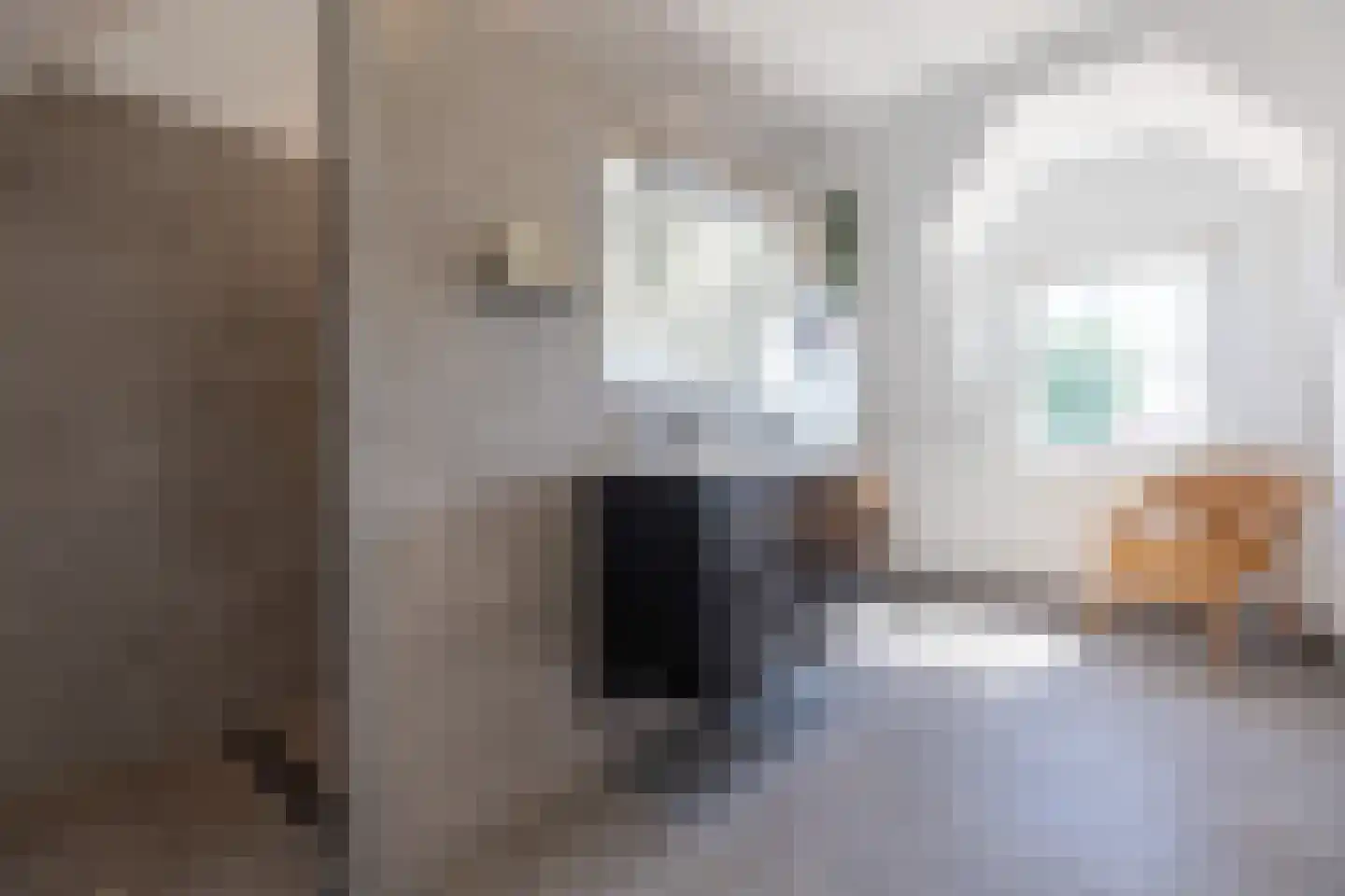 Kreugerlaan 7 Weesp thumbnail 39