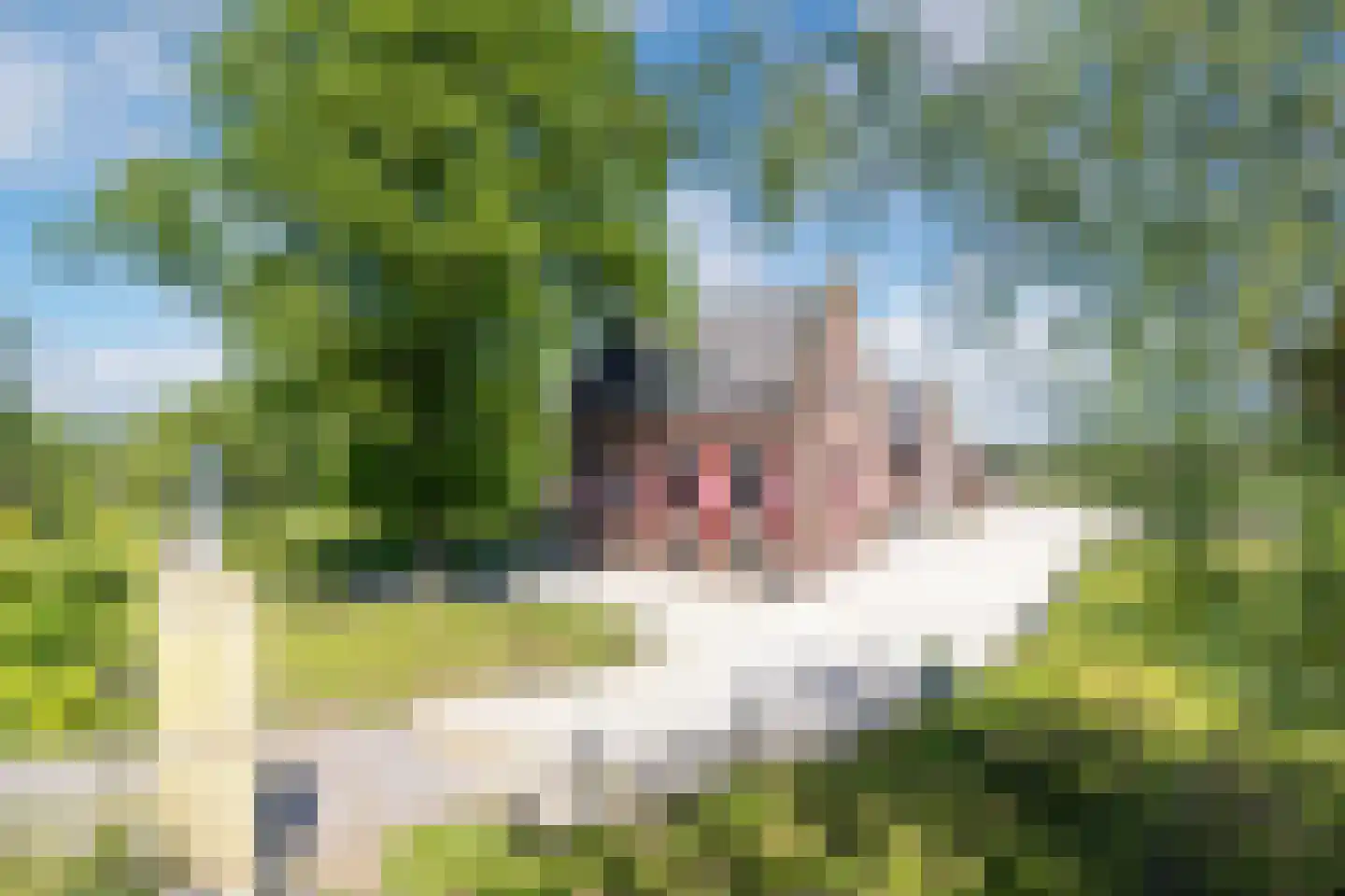 Kreugerlaan 7 Weesp thumbnail 4